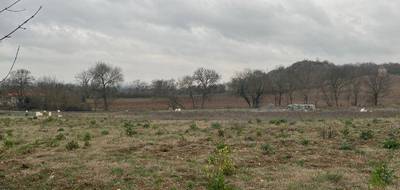 Programme terrain + maison à Castelnau-de-Lévis en Tarn (81) de 186 m² à vendre au prix de 448000€ - 3