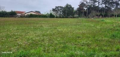 Terrain seul à Graulhet en Tarn (81) de 3979 m² à vendre au prix de 90000€ - 2