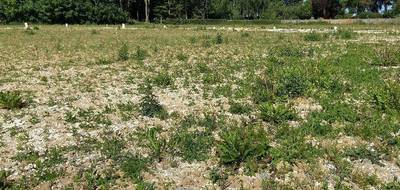 Terrain seul à Habarcq en Pas-de-Calais (62) de 439 m² à vendre au prix de 60500€ - 3
