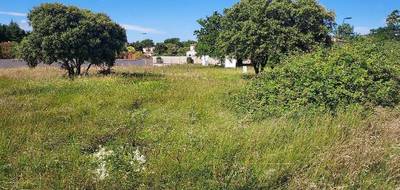 Terrain seul à Blauzac en Gard (30) de 425 m² à vendre au prix de 104000€ - 3