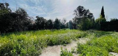 Programme terrain + maison à Salon-de-Provence en Bouches-du-Rhône (13) de 88 m² à vendre au prix de 380000€ - 3