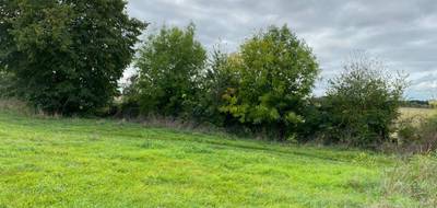Terrain seul à Boiry-Becquerelle en Pas-de-Calais (62) de 1019 m² à vendre au prix de 66640€ - 2