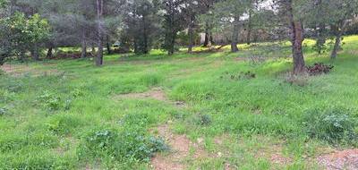 Terrain seul à La Seyne-sur-Mer en Var (83) de 706 m² à vendre au prix de 250000€ - 2