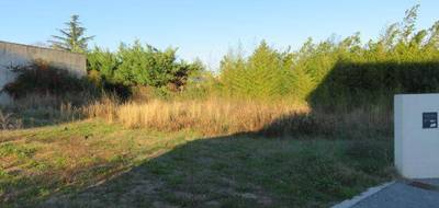 Terrain seul à Saussines en Hérault (34) de 608 m² à vendre au prix de 199900€ - 1
