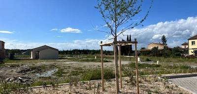 Terrain seul à Courthézon en Vaucluse (84) de 310 m² à vendre au prix de 96900€ - 4
