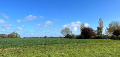 Programme terrain + maison à Nouzilly en Indre-et-Loire (37) de 110 m² à vendre au prix de 240000€ - 3