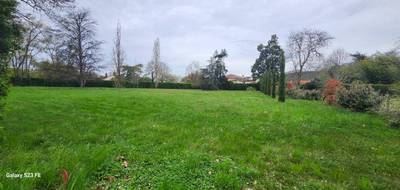 Programme terrain + maison à Saint-Lieux-lès-Lavaur en Tarn (81) de 145 m² à vendre au prix de 335317€ - 4