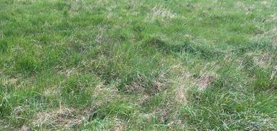 Terrain seul à Peyrillac-et-Millac en Dordogne (24) de 5000 m² à vendre au prix de 80000€ - 1