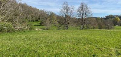 Terrain seul à Nabirat en Dordogne (24) de 3225 m² à vendre au prix de 29400€ - 2