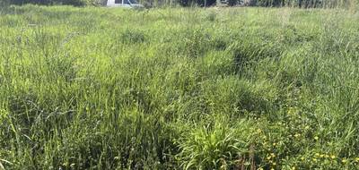 Terrain seul à Gragnague en Haute-Garonne (31) de 556 m² à vendre au prix de 139000€ - 3