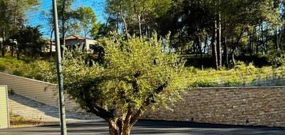 Terrain seul à Montferrier-sur-Lez en Hérault (34) de 800 m² à vendre au prix de 430000€ - 1