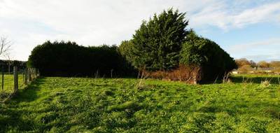 Terrain seul à Saint-Manvieu-Norrey en Calvados (14) de 200 m² à vendre au prix de 49000€ - 3