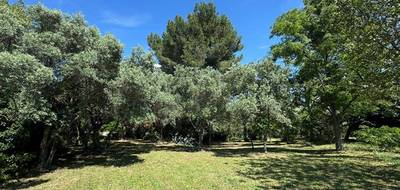 Programme terrain + maison à Le Born en Haute-Garonne (31) de 83 m² à vendre au prix de 193000€ - 4