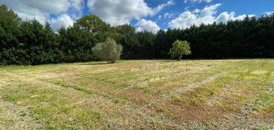 Terrain seul à Saint-Papoul en Aude (11) de 1373 m² à vendre au prix de 65500€ - 1