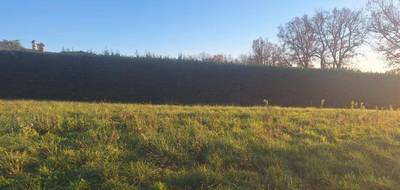 Terrain seul à Montbeton en Tarn-et-Garonne (82) de 600 m² à vendre au prix de 59000€ - 1