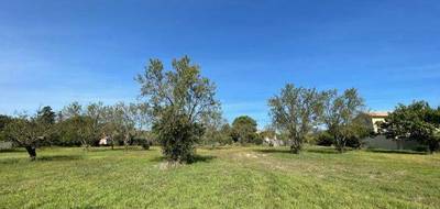 Terrain seul à Saint-Quentin-la-Poterie en Gard (30) de 312 m² à vendre au prix de 92000€ - 1