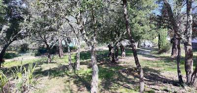 Terrain seul à Vidauban en Var (83) de 1270 m² à vendre au prix de 159000€ - 2