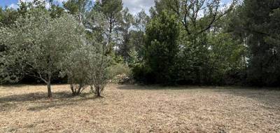 Terrain seul à Trans-en-Provence en Var (83) de 800 m² à vendre au prix de 180000€ - 3