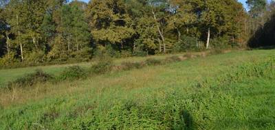 Terrain seul à Salles en Gironde (33) de 3200 m² à vendre au prix de 180000€ - 1