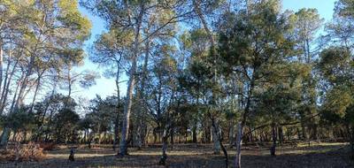 Terrain seul à Le Thoronet en Var (83) de 769 m² à vendre au prix de 155000€ - 4