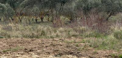 Terrain seul à Rognes en Bouches-du-Rhône (13) de 326 m² à vendre au prix de 204900€ - 3