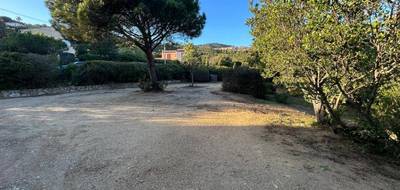 Terrain seul à Roquebrune-sur-Argens en Var (83) de 649 m² à vendre au prix de 349000€ - 1
