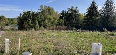 Programme terrain + maison à Russange en Moselle (57) de 130 m² à vendre au prix de 539000€ - 4