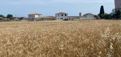 Terrain seul à Bassan en Hérault (34) de 376 m² à vendre au prix de 100000€ - 1