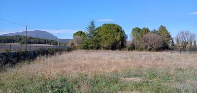 Programme terrain + maison à Le Triadou en Hérault (34) de 140 m² à vendre au prix de 594900€ - 4