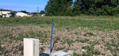 Terrain seul à Ardillières en Charente-Maritime (17) de 425 m² à vendre au prix de 53125€ - 1