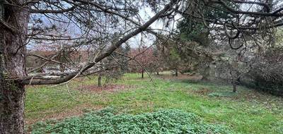 Programme terrain + maison à Saâcy-sur-Marne en Seine-et-Marne (77) de 90 m² à vendre au prix de 289000€ - 3