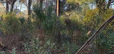 Terrain seul à Saint-Brevin-les-Pins en Loire-Atlantique (44) de 728 m² à vendre au prix de 231000€ - 3