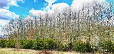 Terrain seul à Peyrillac-et-Millac en Dordogne (24) de 5675 m² à vendre au prix de 25000€ - 1