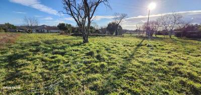 Programme terrain + maison à Lagrave en Tarn (81) de 90 m² à vendre au prix de 227987€ - 4