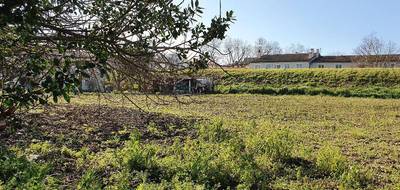 Programme terrain + maison à Castelnaudary en Aude (11) de 67 m² à vendre au prix de 192884€ - 4