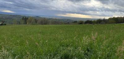 Terrain seul à Burlats en Tarn (81) de 1323 m² à vendre au prix de 68000€ - 1