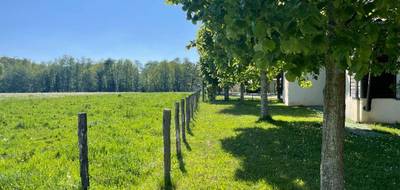Programme terrain + maison à Dompierre-sur-Veyle en Ain (01) de 83 m² à vendre au prix de 250500€ - 3