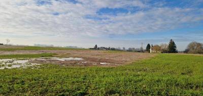 Programme terrain + maison à Beuzeville-la-Grenier en Seine-Maritime (76) de 74 m² à vendre au prix de 222000€ - 4