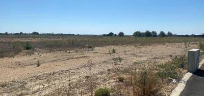 Terrain seul à Vendres en Hérault (34) de 264 m² à vendre au prix de 120000€ - 1