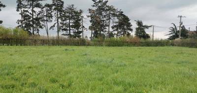 Programme terrain + maison à Saint-Germain-de-Salles en Allier (03) de 79 m² à vendre au prix de 168500€ - 3