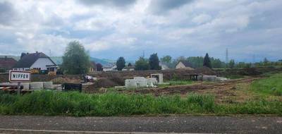 Programme terrain + maison à Niffer en Haut-Rhin (68) de 137 m² à vendre au prix de 579000€ - 3