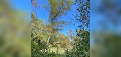 Terrain seul à Nîmes en Gard (30) de 387 m² à vendre au prix de 179900€ - 2