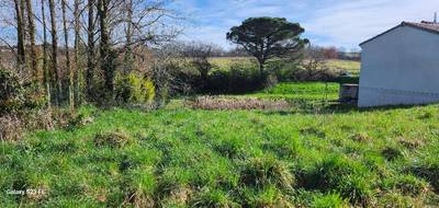 Terrain seul à Albi en Tarn (81) de 405 m² à vendre au prix de 48000€ - 2