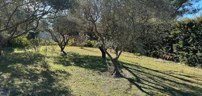 Terrain seul à Saint-Cannat en Bouches-du-Rhône (13) de 550 m² à vendre au prix de 275000€ - 1