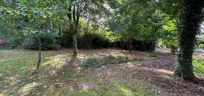 Programme terrain + maison à Andernos-les-Bains en Gironde (33) de 127 m² à vendre au prix de 759000€ - 4