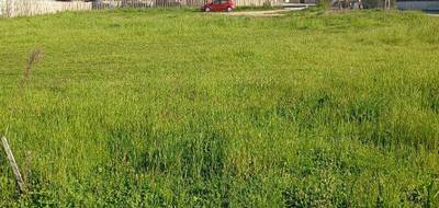 Terrain seul à Marcilloles en Isère (38) de 913 m² à vendre au prix de 84000€ - 2