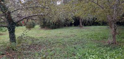 Terrain seul à Saint-Léonard-de-Noblat en Haute-Vienne (87) de 412 m² à vendre au prix de 12500€ - 2