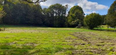 Terrain seul à Compreignac en Haute-Vienne (87) de 5600 m² à vendre au prix de 49000€ - 3