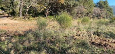 Terrain seul à Puget-Ville en Var (83) de 650 m² à vendre au prix de 170000€ - 1