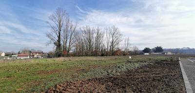 Programme terrain + maison à Lisle-sur-Tarn en Tarn (81) de 112 m² à vendre au prix de 265000€ - 4